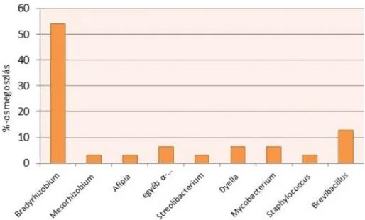 3. ábra. Az erőművi víztisztító rendszerből R2A táptalajon kitenyésztett baktérium nemzetségek.(Az 