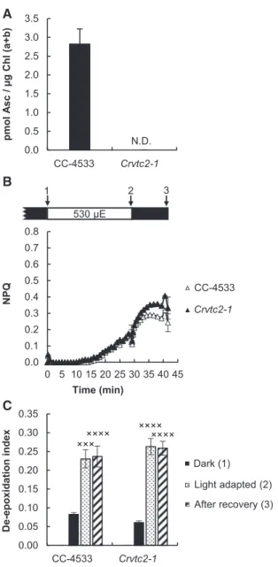 Figure 4. Effects of overnight (16 h) dark acclimation on CC-4533 and Crvtc2-1 grown in TAP medium at 100 m mol photons m 22 s 21 