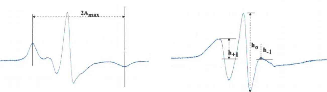 13. ábra Liposzóma preparátumok tipikus ESR spektruma. A kiértékelésekhez használt  paraméterek: a külső csatolási állandó (2Amax), valamint a 12-DOX ill