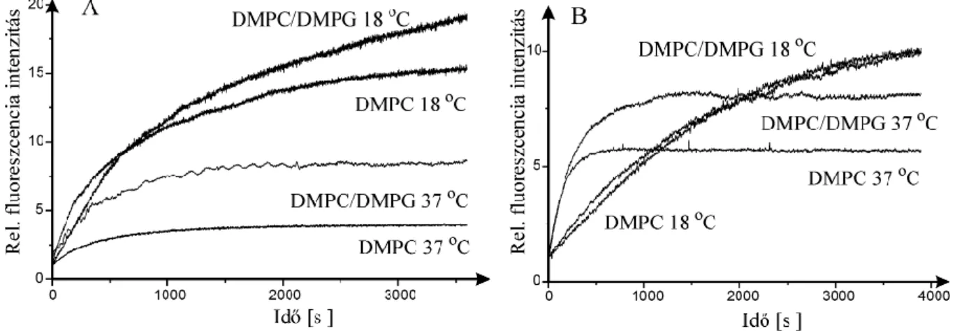 16. ábra TP(4-OGluOH) 3 P (A) és TP(4-OXylOH) 4 P (B) fluoreszcencia intenzitása az idő  függvényében DMPC illetve DMPC:DMPG=9:1 liposzómával való összekeverés után 18 