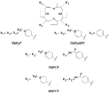 2. ábra A dolgozatban vizsgált kationos porfirinek: 5,10,15,20-tetrakisz(1-metil-4-piridinio)porfirin  (TMPyP),  5,10,15-trisz(1-metil-4-piridinio),20-monofenilporfirin (TMPyMPP,) 5,10,15-trisz  (1-metil-4-piridinio)20-mono-(4-karboxifenil)porfirin (TMPCP)