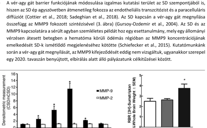 3. ábra. Az MMP9 kifejeződésének időbeli felbontása (forrás: Gursoy-Ozdemir et al., 2004), és a szumatriptán  kilépése az agyszövetbe (forrás: Cottier et al., 2018) SD kiváltása után metabolikusan ép rágcsáló agykéregben