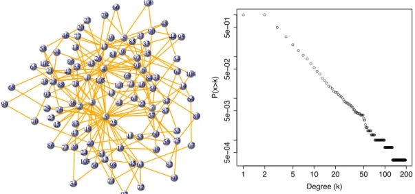 Figure 2.7: 100-node network generated with the B-A model (left) and the comple- comple-ment cumulative degree distribution of an 5000-node B-A network (right).