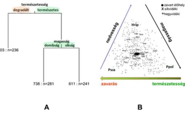 2.16. ábra: A dunántúli Isopoda adatbázis elemzése többváltozós regressziós fa módszerrel (A) és az elkülönülő  élőhelytípusok és fajok ábrázolása főkomponens biploton  (B) × – természetközeli síkvidéki, + - természetközeli  hegy/dombvidéki, • – degradált