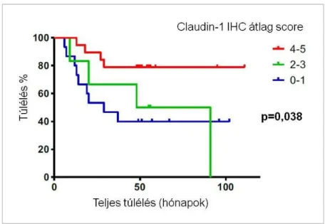 24. ábra. Claudin-1 IHC átlag score érték és teljes túlélés összefüggése SCC-ben 