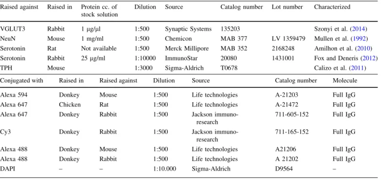 Table 1 summarizes information about the primary and secondary antibodies. Previously, we extensively tested the rabbit anti-VGLUT3 antibody in experiments using VGLUT3 knock out animals (Sz} onyi et al