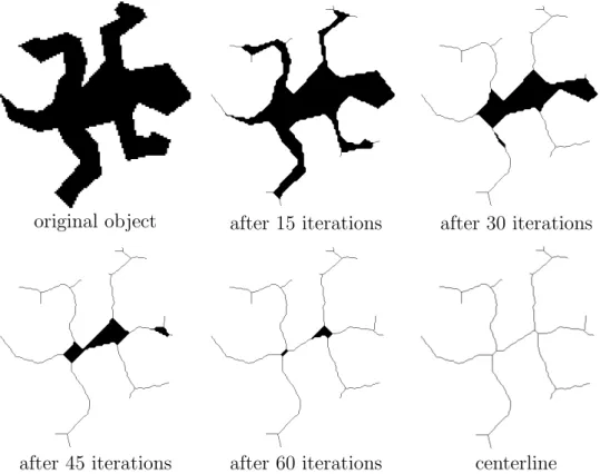 Figure 1.22: Thinning of Escher’s (rep)tile. Some phases of the iterative object reduction are shown.