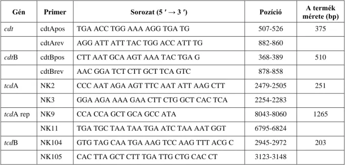 2. táblázat: A vizsgálatban használt oligonukleotid primerek szekvenciái 