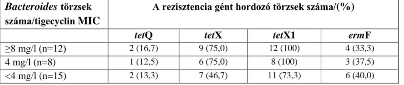 2. táblázat: A rezisztencia gének jelenléte a különböző tigecyclin MIC-el rendelkező törzsek esetében 