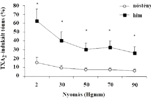 10. ábra: TXA 2  indukálta értónus normális vérnyomású hím és nőstény patkányokban 