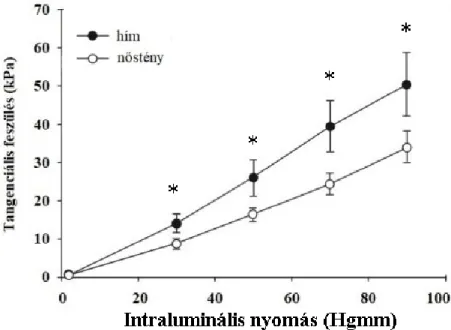 14. ábra: Nemi különbségek ATII hipertónia hatására patkányokban a koszorúsereken mérhető  tangenciális feszülésben (Ca 2+ -mentes-oldatban) 