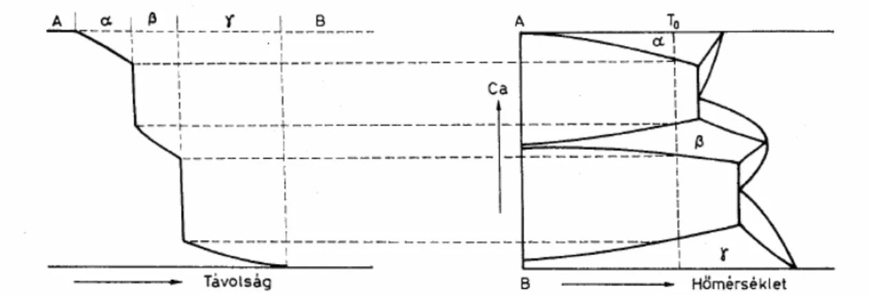 3.1. ábra. Az A-B hipotetikus fázisdiagram és az A-B diffúziós párban T o hőmérsékleten kialakult koncentrációprofil közti kapcsolat [49, 91].
