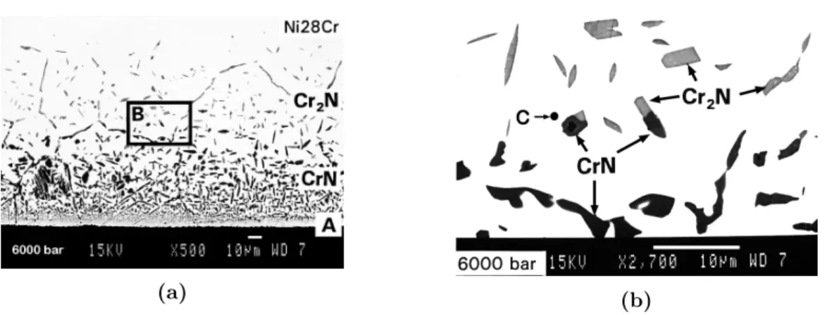 3.8. ábra. Ni-28 at%Cr ötvözet nitridálás utáni visszaszórtelektron képe. A hőkezelés 6·10 8 Pa N 2