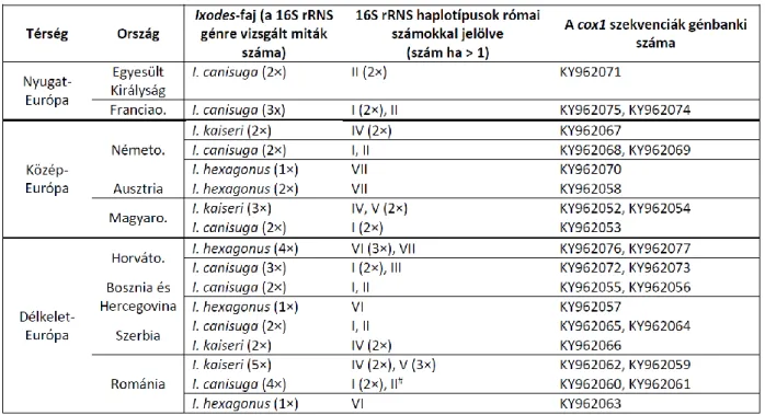 4.2.2.2. táblázat. A 16S rRNS haplotípusok származási ország szerint. 