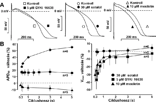 17. ábra. A. panel. A GYKI-16638 (5 µM), a sotalol (30 µM) és mexiletin (10 µM) hatása az akciós  potenciálra egészséges  humán jobbkamrai izmon