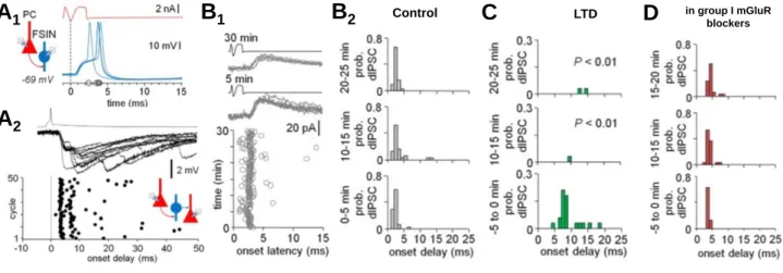 Figure 7. Long-term plasticity in interneurons alters the neuronal ensemble activation in the human neocortex