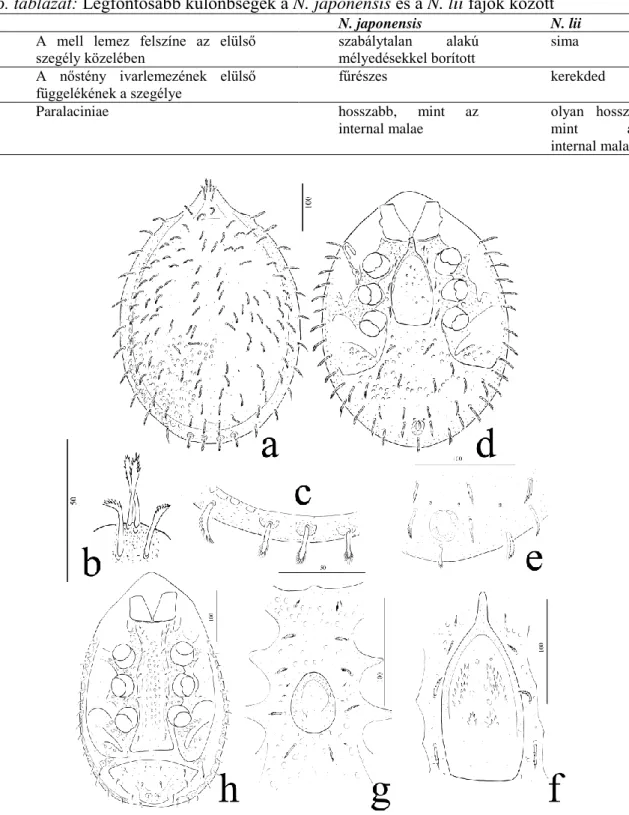 6. táblázat: Legfontosabb különbségek a N. japonensis és a N. lii fajok között 