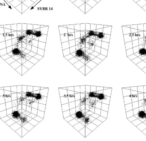 Fig. 5. Three-dimensional dot plots showing the shifts between subpopulations during incubation