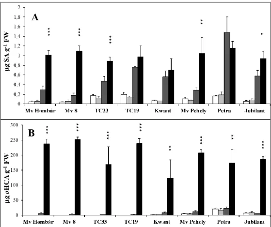 12. ábra A szalicilsav- (SA: A) és orto-hidroxi-fahéjsav- (oHCA: B) tartalom változása őszi búza  (Mv Hombár és Mv8), tavaszi búza (TC33 és TC19), tavaszi zab (Kwant és Mv Pehely), őszi árpa  (Petra)  és  tavaszi  árpa  (Jubilant)  növények  levelében  hid