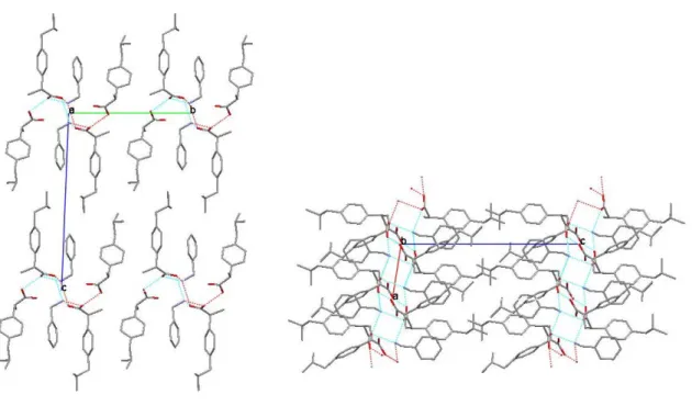 4.8. ábra. A benzilamin – ibuprofén komplex szerkezete az a illetve b krisztallográfiás  tengelyek felől nézve