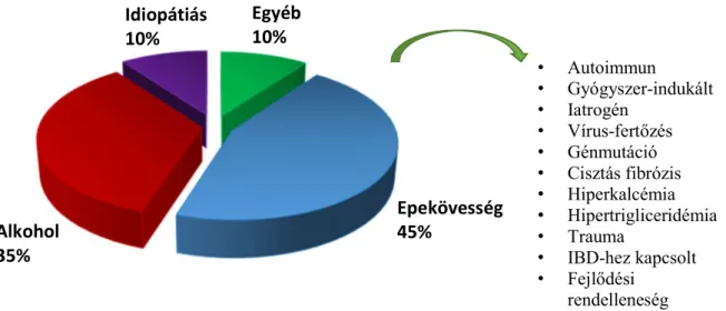 6. ábra. Az akut pankreatitisz etiológiája.  