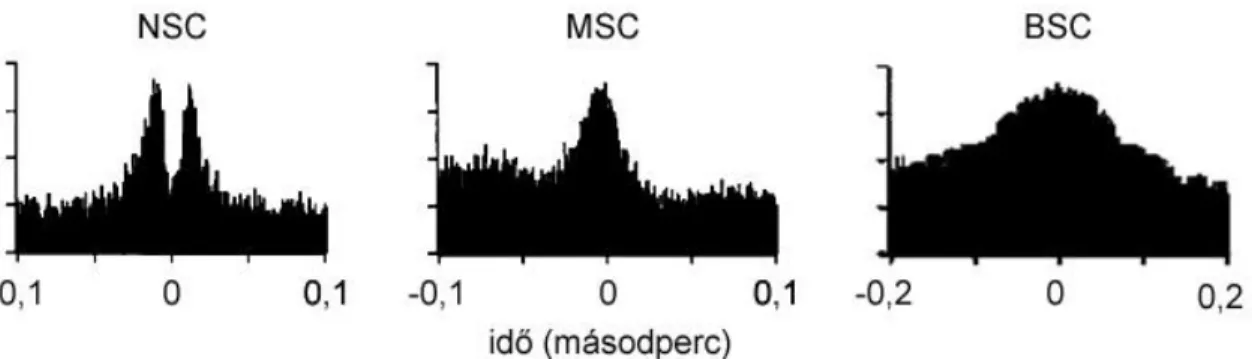 4. ábra. A dúcsejtek akciós potenciáljainak szinkronizációs típusai  BSC  –  széles  akciós  potenciál  szinkronizáció,  MSC  –  közepes  akciós  potenciál  szinkronizáció, NSC – keskeny akciós potenciál szinkronizáció