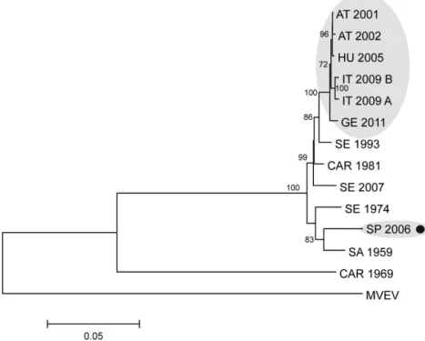 4. ábra: Usutu vírusok teljes genom nukleotid szekvenciái alapján készített törzsfa. 