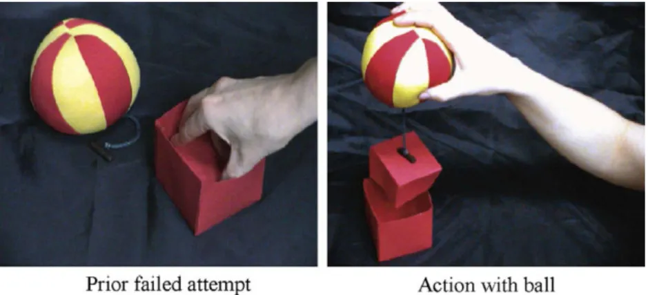 Fig. 1. A ball as a lifter.