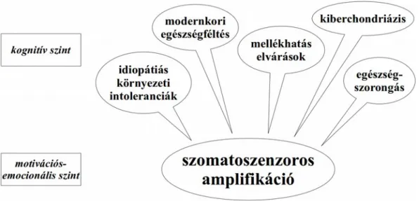 4. ábra. A szomatoszenzoros amplifikáció kapcsolata más jelenségekkel (Köteles és Witthöft, 2017 alapján)