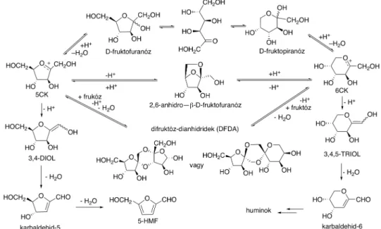 12. ábra. A  D -fruktóz savkatalizált dehidratálási mechanizmusának azonosított köztitermékei 
