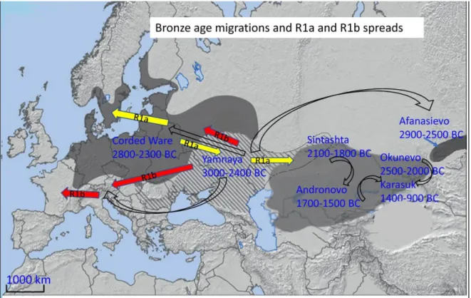 19. ábra. A bronzkori humán migrációk és az R1a és R1b haplocsoportok elterjedése 14 Az üres fekete nyilak az adott régészeti kultúrák terjedését/kapcsolatát jelölik