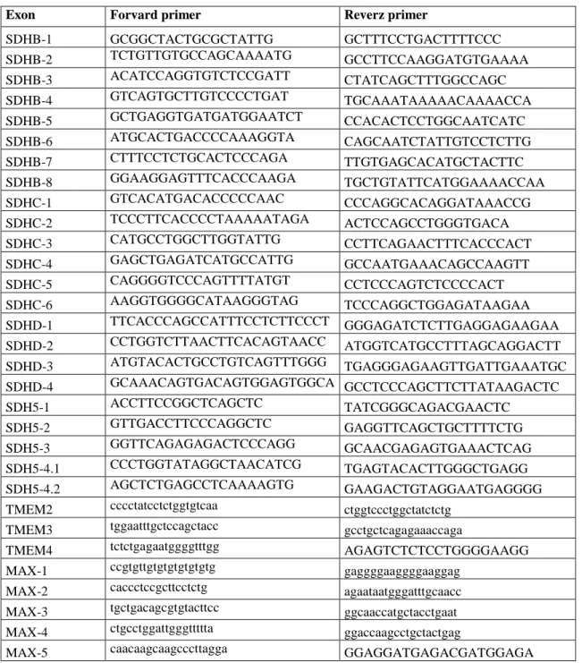 19. Táblázat: Az SDHx, MAX és TMEM127 gének vizsgálatában használt primerek. 