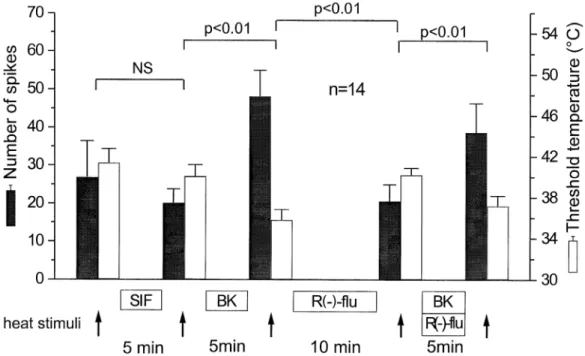 10. ábra. Az R(+)-flurbiprofen [R(+)-flu, 1 µM] hatása a bradikininnel (BK, 10 µM) kiváltott hőszenzibilizációra