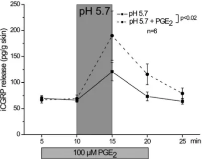 17. ábra. A PGE 2  hatása az alacsony pH-val (protonokkal) kiváltott iCGRP-felszabadulásra patkányláb bőrében