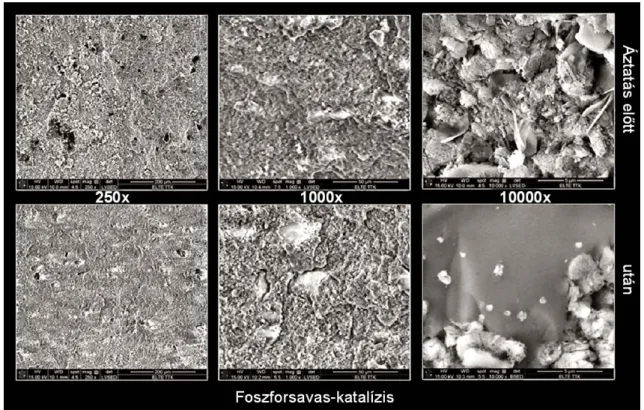  III. 5. ábra. SEM felvételek  foszforsav-katalizált mintákról 3-napos, szimulált  testfolyadékos (SBF) áztatás után