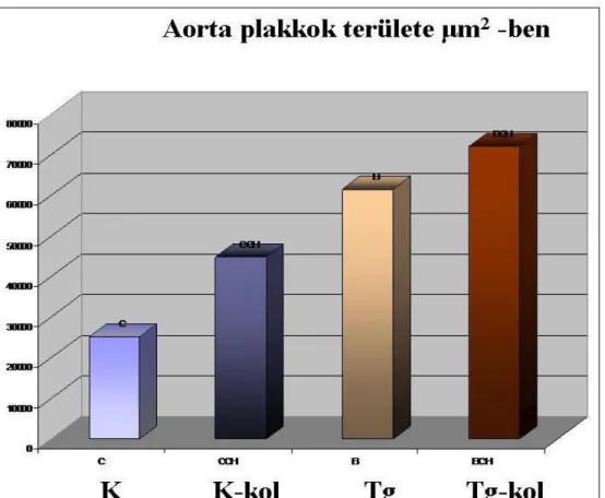 17. ábra. Aorta plakkok összterülete  normál illetve koleszterin-dús (kol) táppal  etetett APOB-100 transzgenikus (Tg) és kontrol (K) egerekben