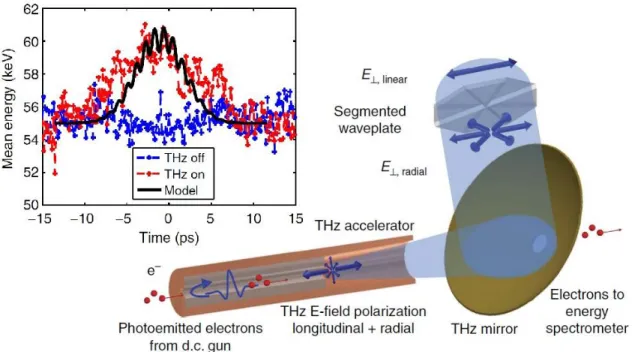 Figure 11. THz-driven linear accelerator. The inset shows the temporal profile of the mean electron energy  with (red) and without (blue) THz field