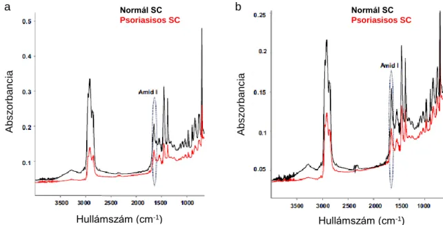 A legkifejezettebb eltérést ugyanakkor az 1660 cm -1 -nél lévő sáv mutatta (6. Ábra). A stratum  corneum fehérjéi többnyire α-helikális szerkezetűek.(190) Az 1650 cm -1 -nél lévő sáv egy  α-hélix  jelenlétére  utal,  amelynek mindig a  legnagyobb a  terüle