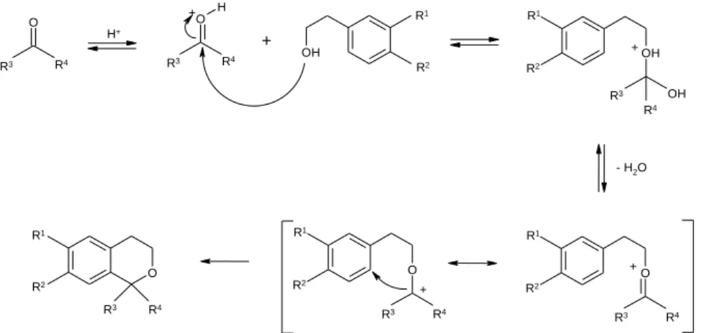 20. ábra: Az oxa-Pictet-Spengler-reakció leírt mechanizmusa [63] 