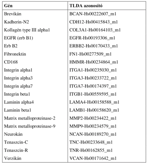 6. táblázat. A vizsgált gének (inváziós panel) és RNS analízis során használt assay próbáik listája 