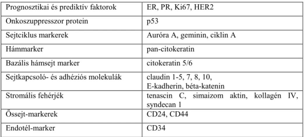 1. Táblázat - Immunhisztokémiai módszerrel vizsgált fehérjék   Prognosztikai és prediktív faktorok  ER, PR, Ki67, HER2  Onkoszuppresszor protein  p53 