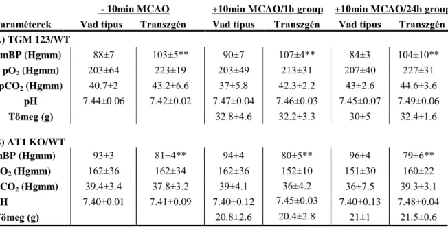 3. táblázat Élettani paraméterek transzgén és vad típusú egerekben 10 perccel az MCAO előtt  (-10 min MCAO) és 10 perccel az MCAO után (+10 min MCAO) az 1 órás MCAO 