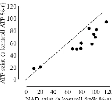 4. ábra A fokális cerebrális ischaemia és re- re-perfúzió indukálta ATP és NAD szint  válto-zások közötti összefüggés
