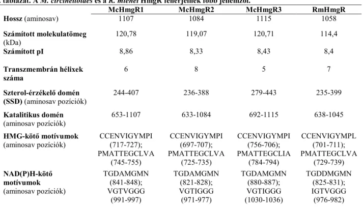 1. táblázat. A M. circinelloides és a R. miehei HmgR fehérjéinek főbb jellemzői. 