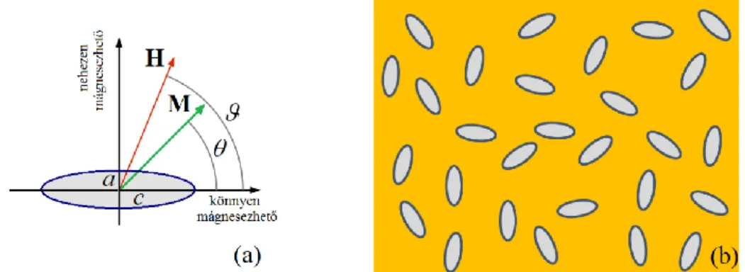 3. Ábra Az elnyújtott forgásellipszoid geometriája és mágneses jellemzői (a). Nemmágneses anyagban ágyazott  monodomén szemcsék (b)