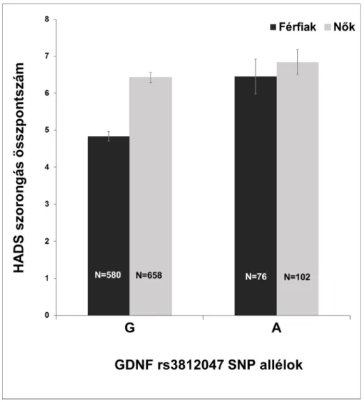 7. ábra. A GDNF rs3812047 és a szorongás asszociációja nemek szerint  Az Y-hibasávok az átlagos szorongás értékek standard hibáját jelölik az adott allélváltozat mellett