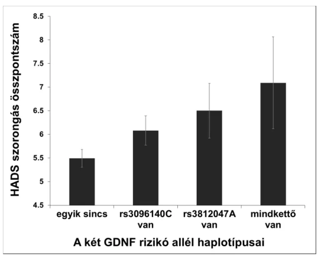 9. ábra. A GDNF haplotípusok összefüggése a szorongással  Az Y-hibasávok az átlagos szorongás értékek standard hibáját jelölik 