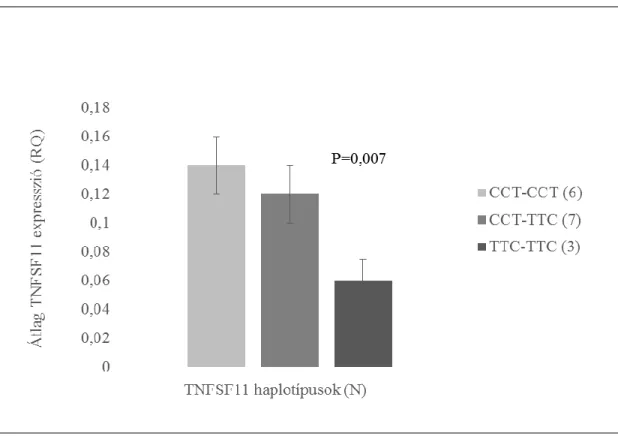 19. ábra A TNFSF11 haplotípusok hatása a TNFSF11 szöveti expressziójára 