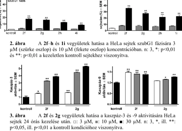3. ábra   A 2f és 2g vegyületek hatása a kaszpáz-3 és -9 aktivitására HeLa  sejtek  24  órás  kezelése  után