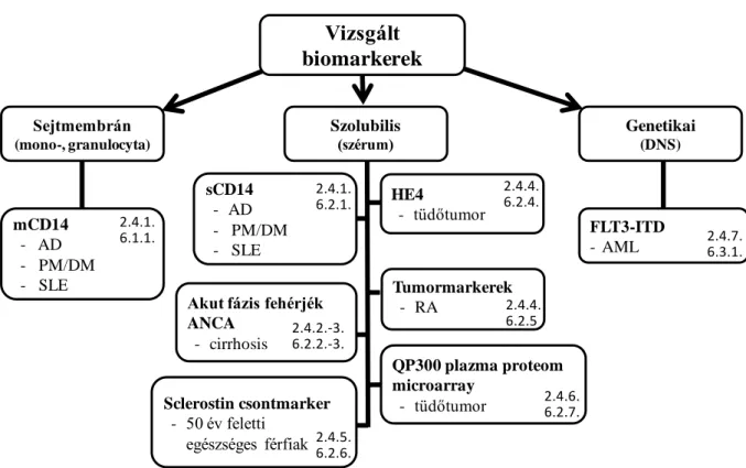 2. ábra Az értekezésben vizsgált biomarkerek és betegségek. A boxokban lévő számok a &#34;Bevezetés&#34; és  az  &#34;Eredmények&#34;  rész  megfelelő  fejezeteire  utalnak  (AD:  atópiás  dermatitis,  PM:  polymyositis,  DM: 